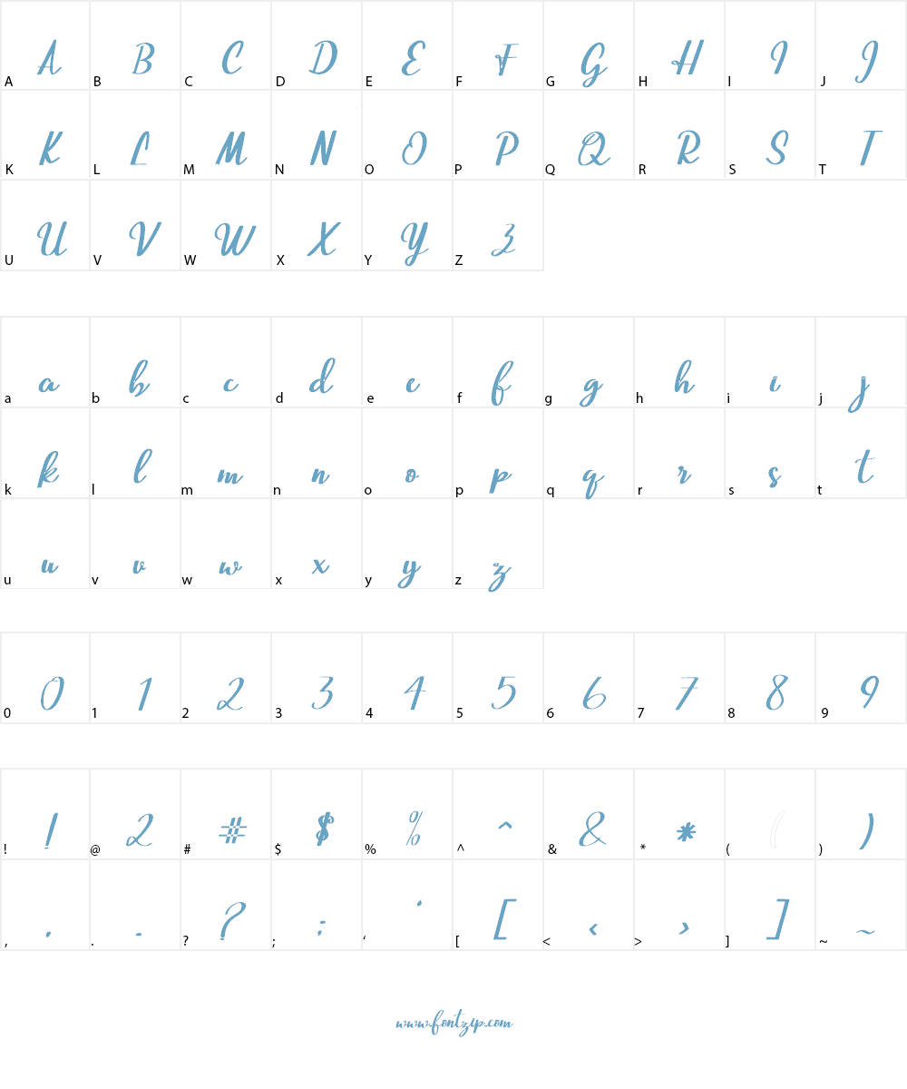 Beautiful Script Font Character